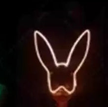 Neon Bunny Set